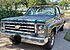 1979 Chevrolet C/K Truck 2WD Regular Cab 1500 for sale 101576612